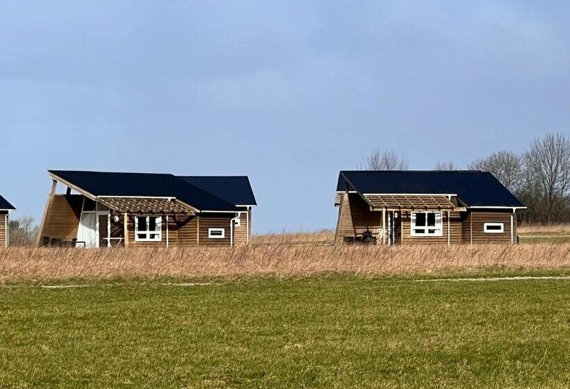 Standard-huone, Dancamps Kolding City
