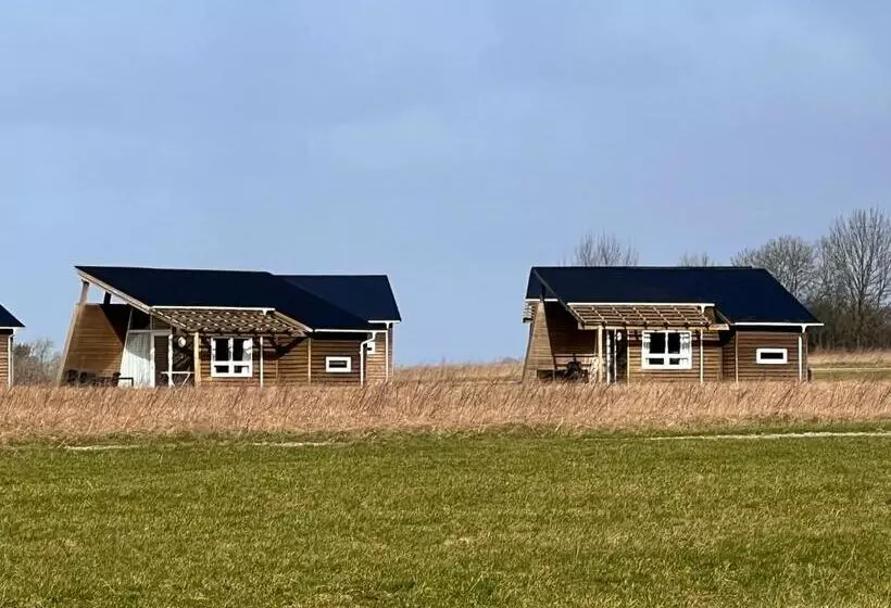 スタンダードルーム, Dancamps Kolding City