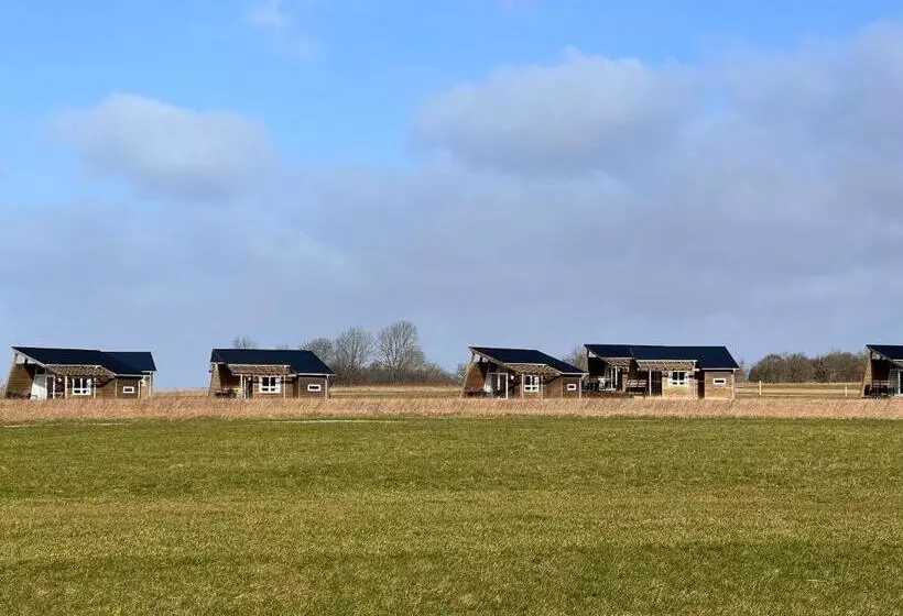 スタンダードルーム, Dancamps Kolding City