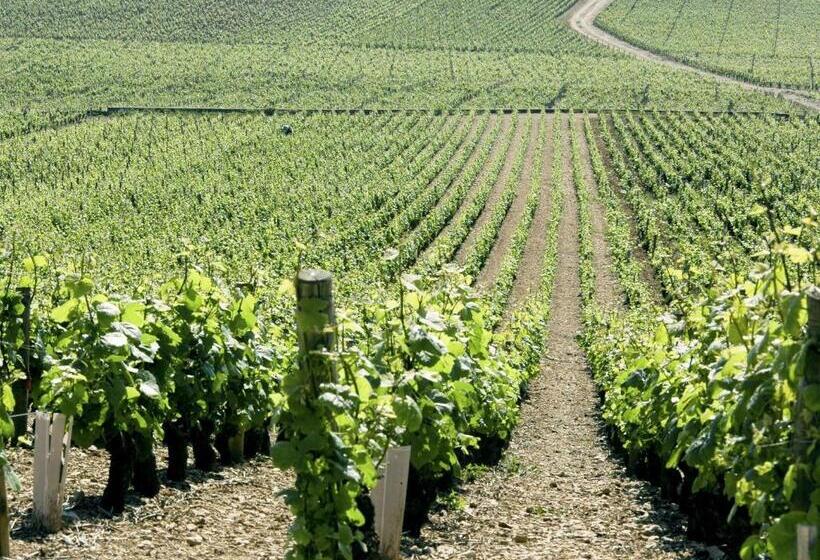 اتاق استاندارد, F1 Dijon Nord