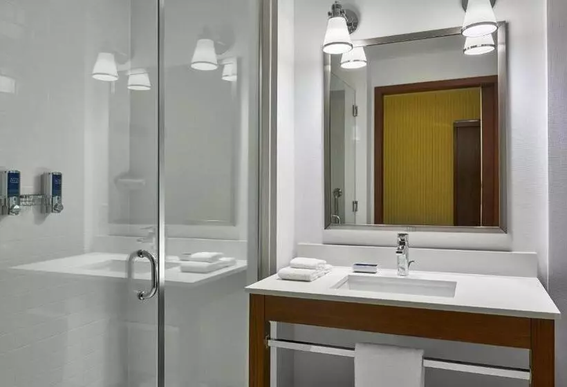 اتاق استاندارد با تخت بزرگ, Four Points By Sheraton Fargo Medical Center