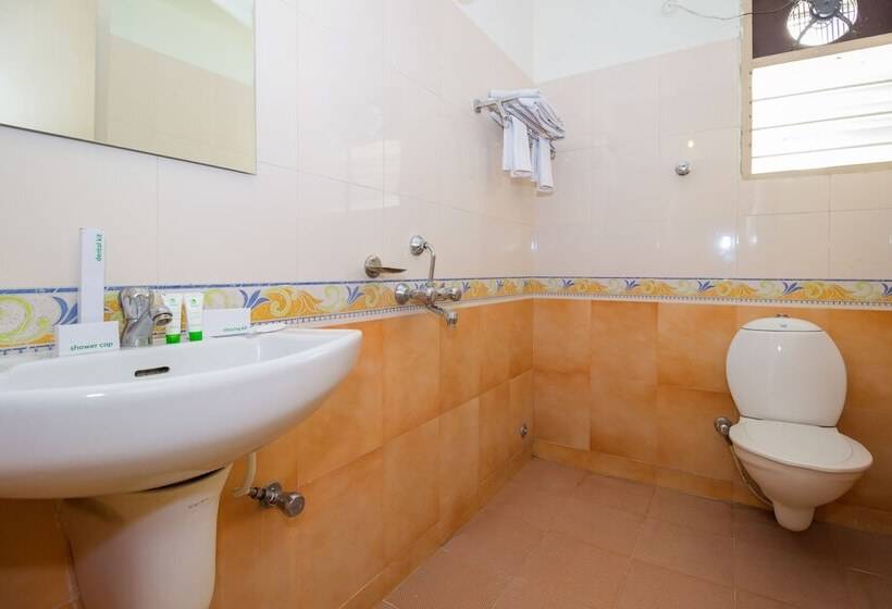 豪华房间, Treebo Krrish Inn