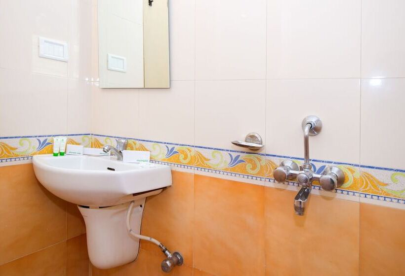 豪华房间, Treebo Krrish Inn