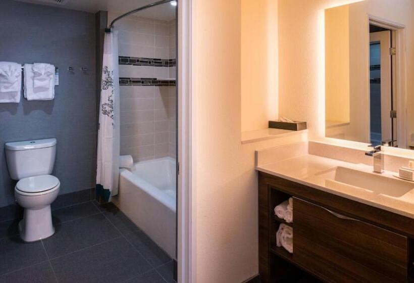 סטודיו סטנדרט נוף לעיר, Residence Inn By Marriott Temecula Murrieta