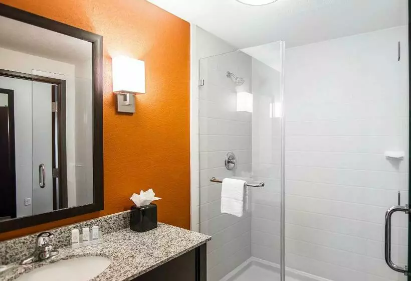 キングサイズベッドのスタンダードルーム, Sleep Inn Lufkin