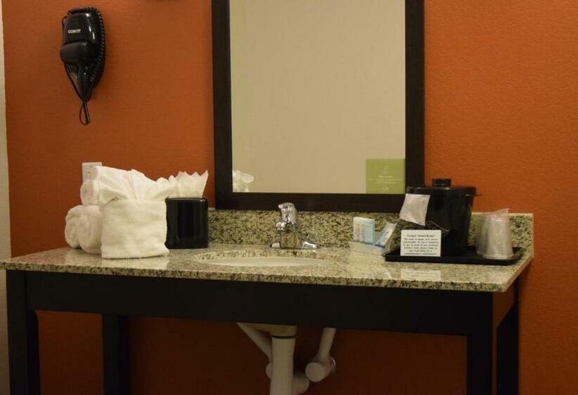 חדר סטנדרט עם מיטת קינג, Sleep Inn Lufkin