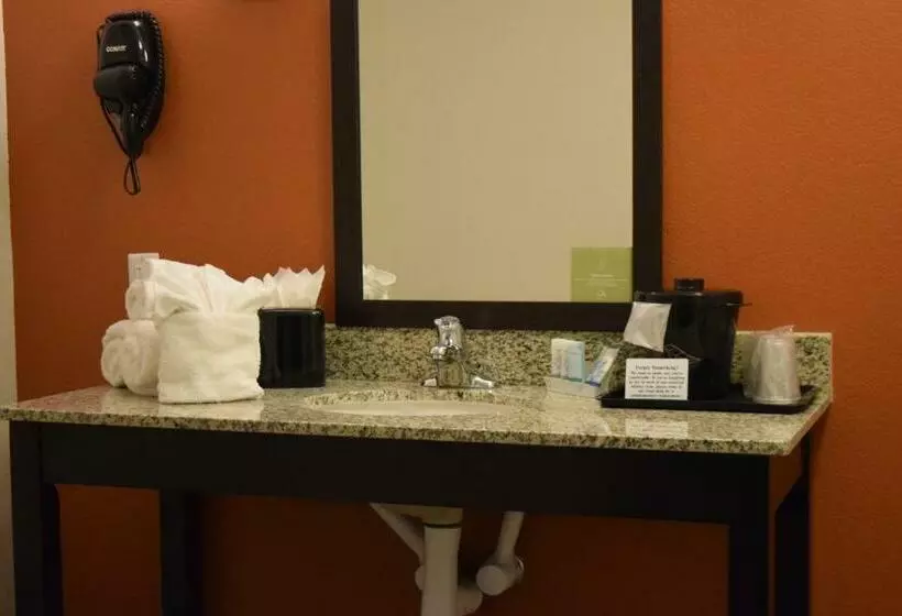 キングサイズベッドのスタンダードルーム, Sleep Inn Lufkin