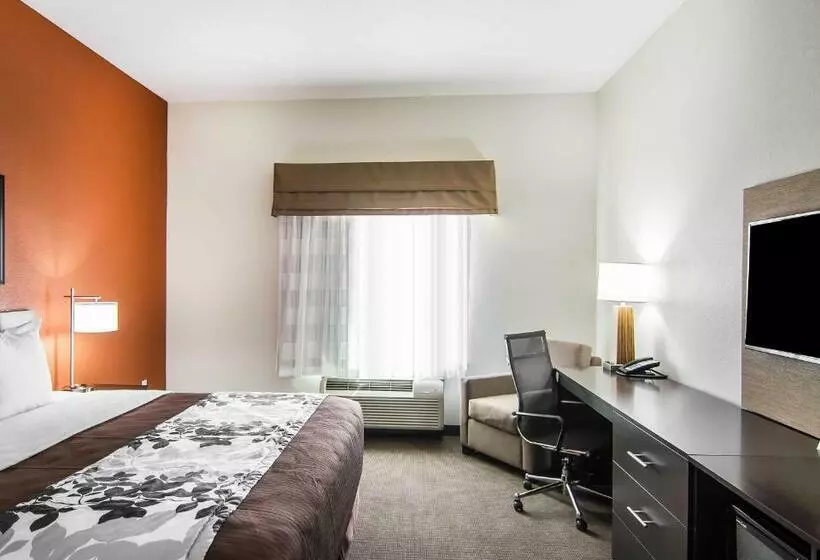 キングサイズベッドのスタンダードルーム, Sleep Inn Lufkin