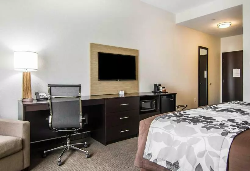 キングサイズベッドのスタンダードルーム, Sleep Inn Lufkin
