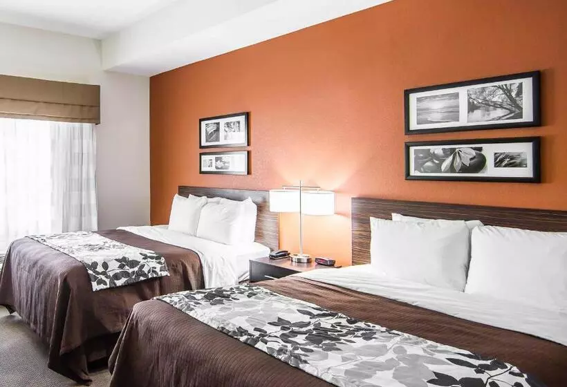 スタンダードルーム, Sleep Inn Lufkin