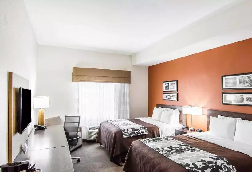 スタンダードルーム, Sleep Inn Lufkin