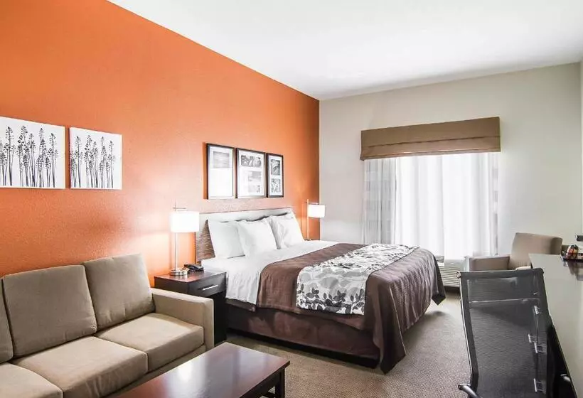 キングサイズベッドのスイートルーム, Sleep Inn Lufkin