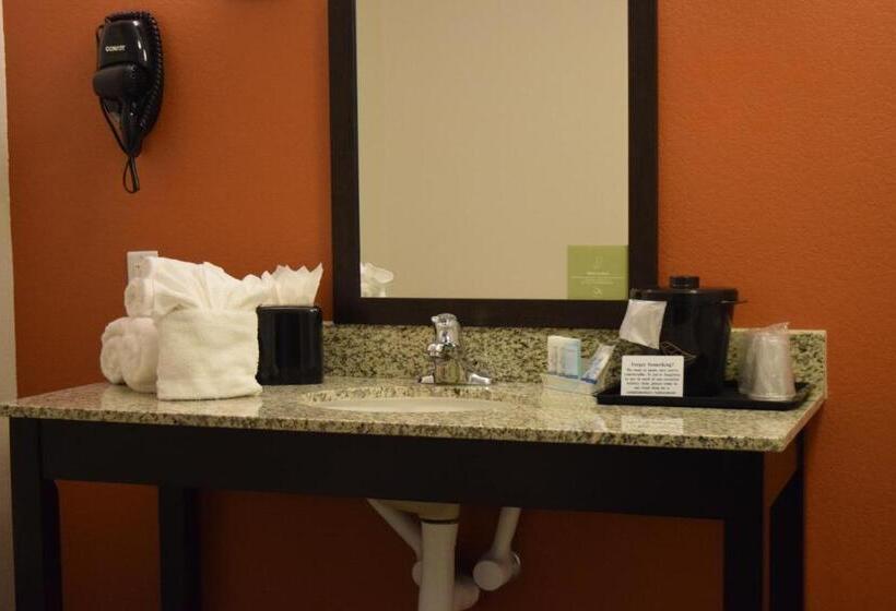 Люкс Кровать Кинг, Sleep Inn Lufkin