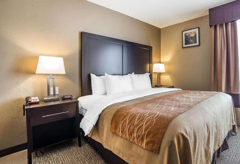 غرفة قياسية سرير كينج, Comfort Inn & Suites Vernal  National Monument Area