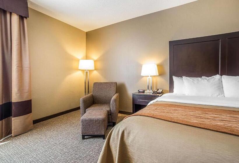 غرفة قياسية سرير كينج, Comfort Inn & Suites Vernal  National Monument Area