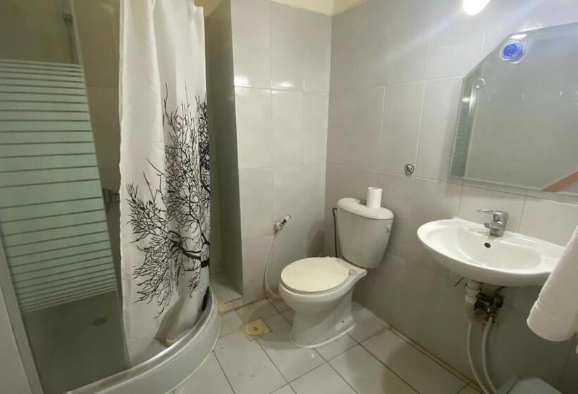 اتاق استاندارد, New Park