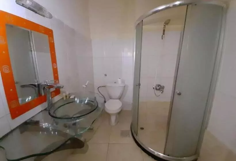 اتاق استاندارد با تخت بزرگ, New Park