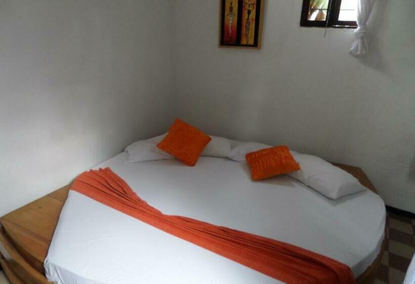 Номер Стандарт, San Roque