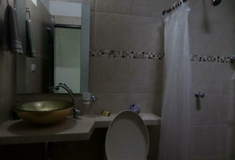 Номер Стандарт, San Roque