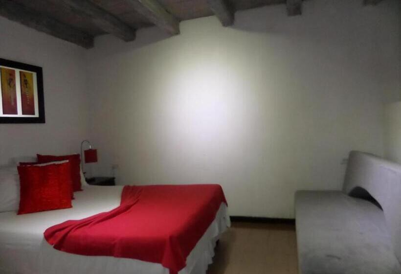 Номер Стандарт, San Roque