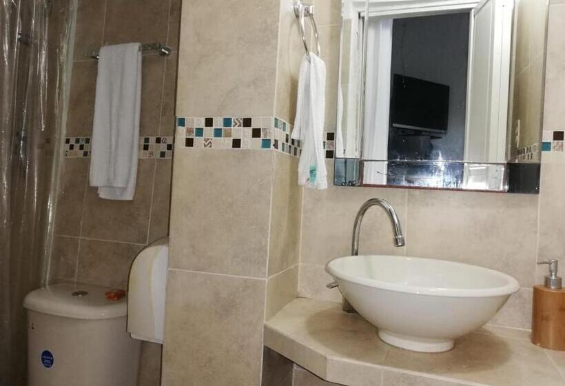 Номер Стандарт, San Roque