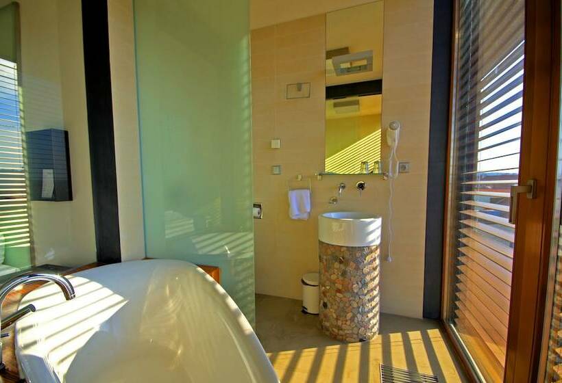 اتاق استاندارد, Wenceslas Square Hotel   Czech Leading Hotels