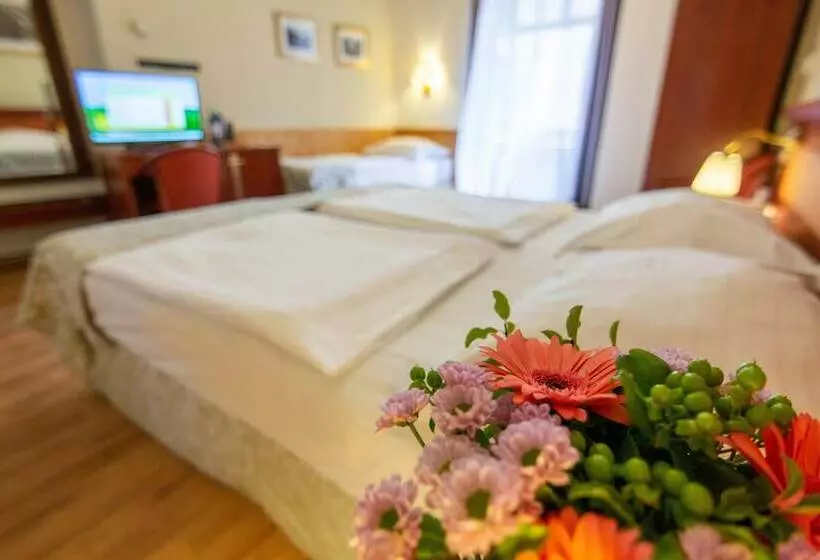 Standard Kolmen Hengen Huone, Wenceslas Square Hotel Czech Leading Hotels