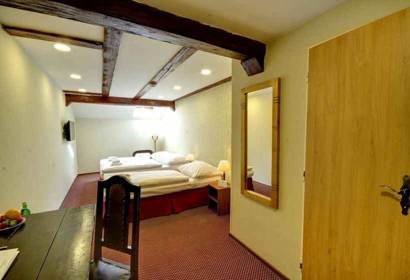 اتاق استاندارد یک نفره, Wenceslas Square Hotel   Czech Leading Hotels