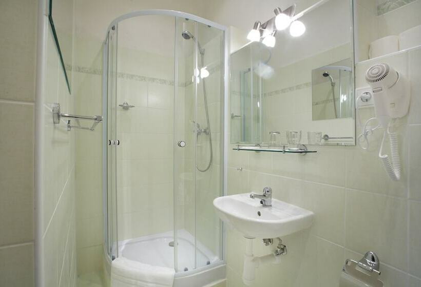 اتاق اکونومی, Wenceslas Square Hotel   Czech Leading Hotels