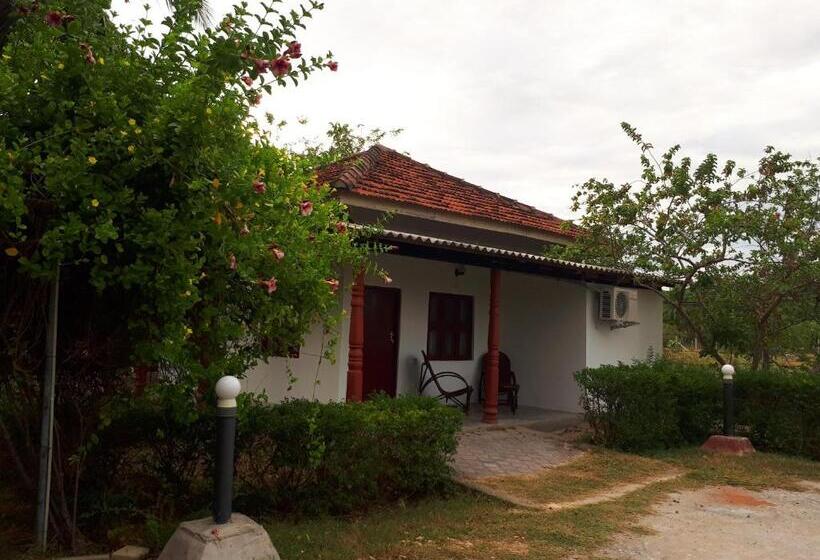 ファミリールーム, Ahsram Accommodations