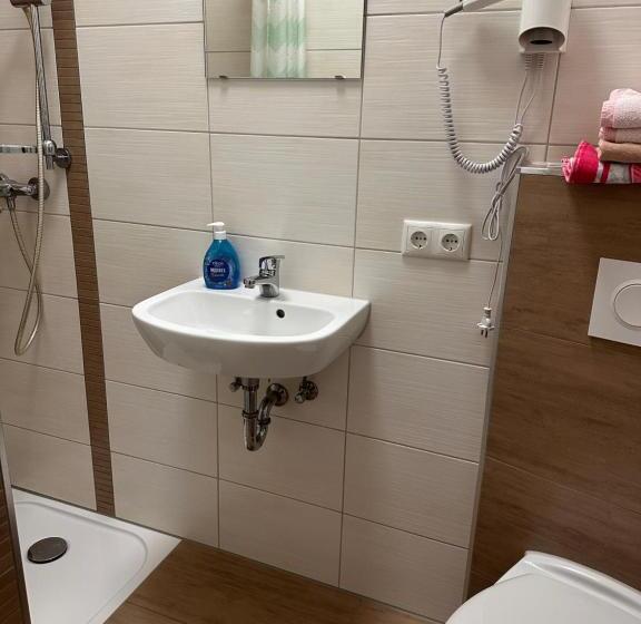 スタンダードシングルルーム, Gasthof „zum Schwan“