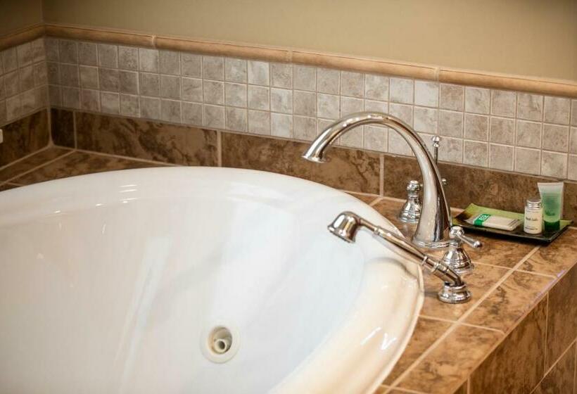 带大床的套房, The Drift Inn