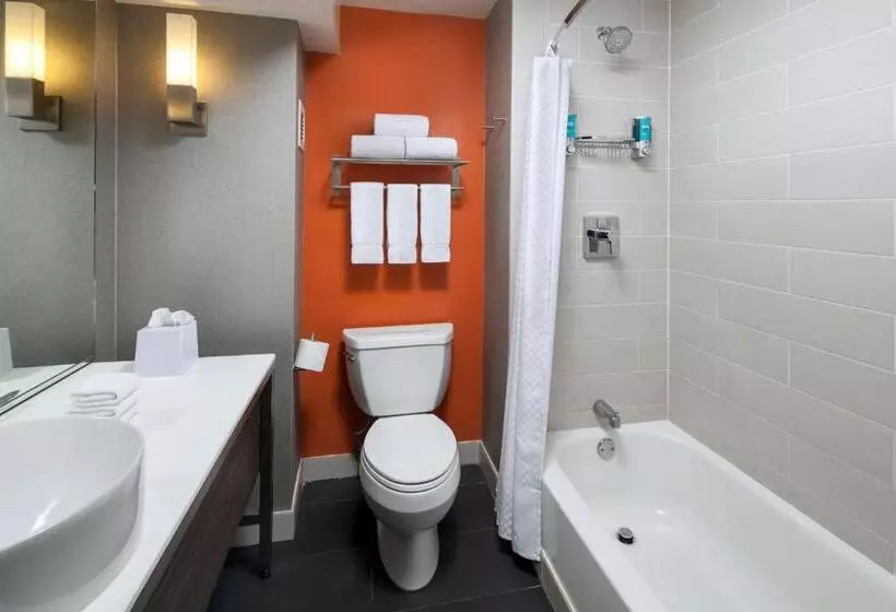 身障者適用クイーンサイズベッドルーム, Aloft El Segundo  Los Angeles Airport