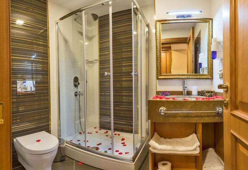 اتاق استاندارد, Aprilis Gold Hotel   Special Category
