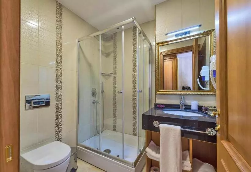 آپارتمان یک خوابه با دری مشترک که هال را جدا می کند., Aprilis Gold Hotel   Special Category