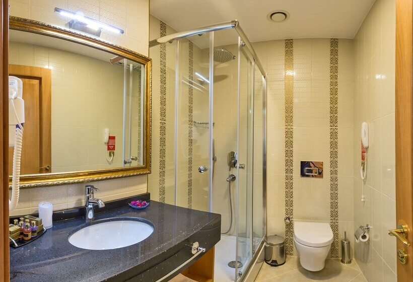 اتاق استاندارد, Aprilis Gold Hotel   Special Category