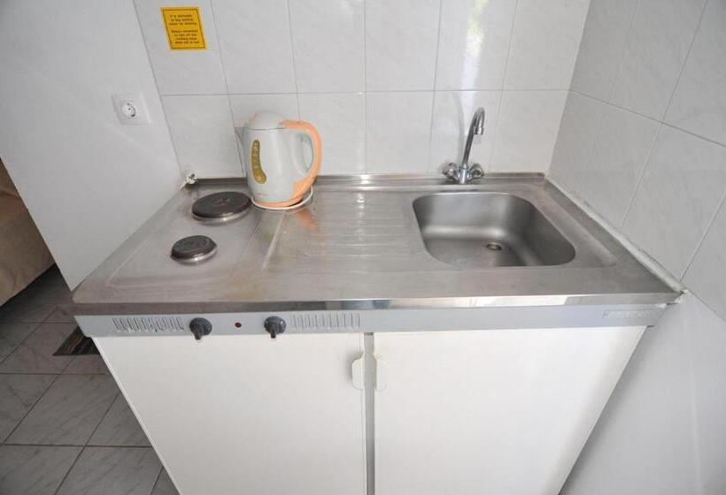 חדר סטודיו סטנדרד, Irene Studios