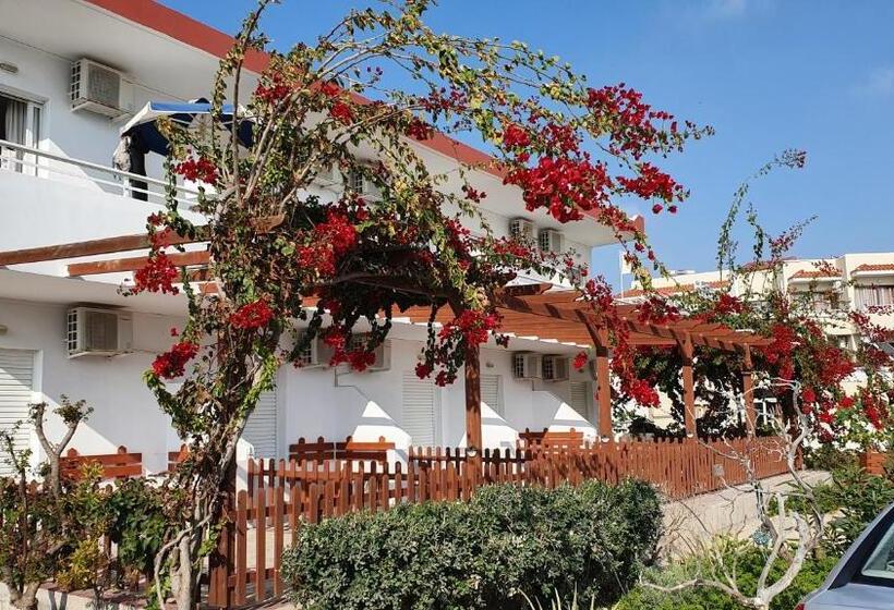 חדר סטנדרט, Irene Studios