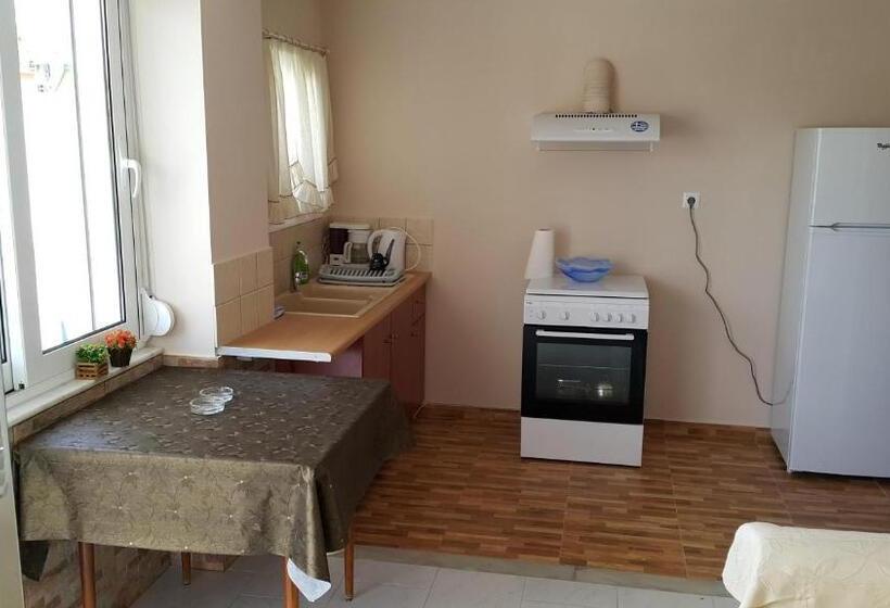 דירת 2 חדרים עם טרסה, Irene Studios