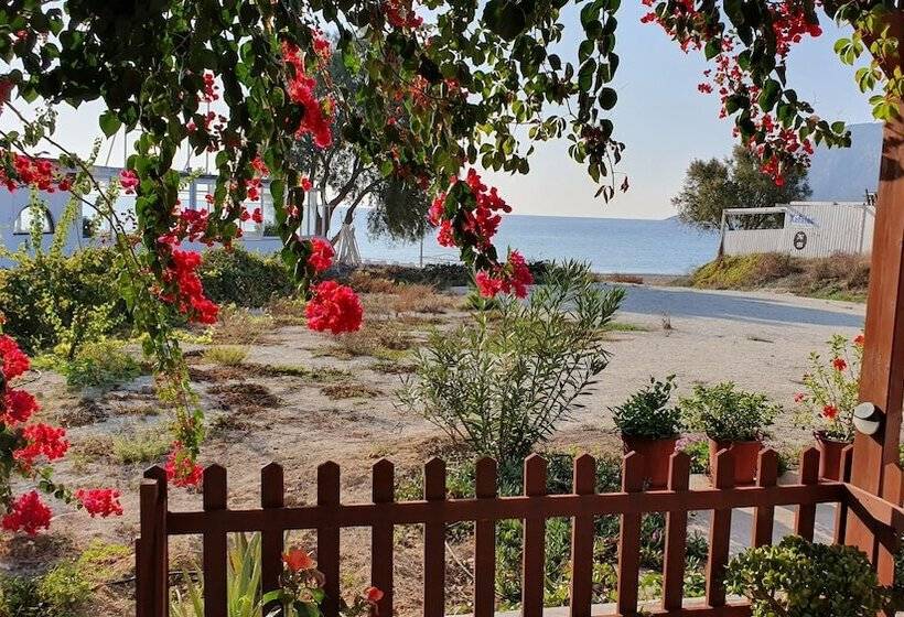 חדר סטודיו סטנדרד, Irene Studios