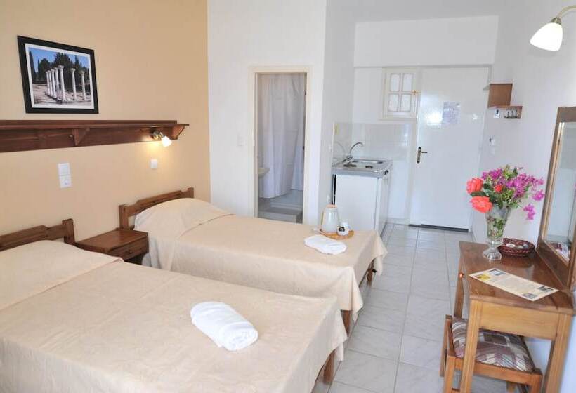 חדר סטודיו סטנדרד, Irene Studios