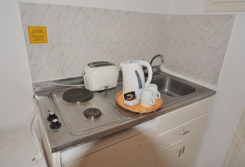 חדר סטודיו סטנדרד, Irene Studios