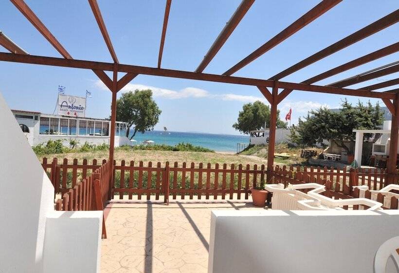 חדר סטודיו סטנדרד, Irene Studios