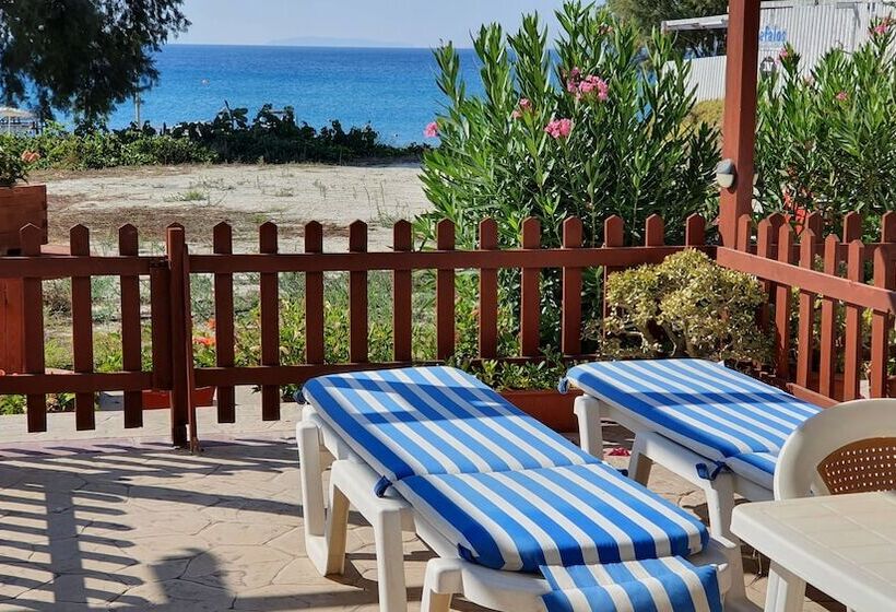 חדר סטודיו סטנדרד, Irene Studios