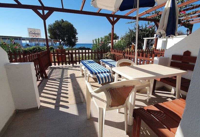 חדר סטודיו סטנדרד, Irene Studios