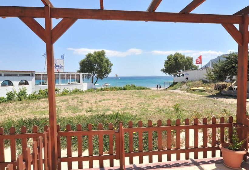 חדר סטודיו סטנדרד, Irene Studios