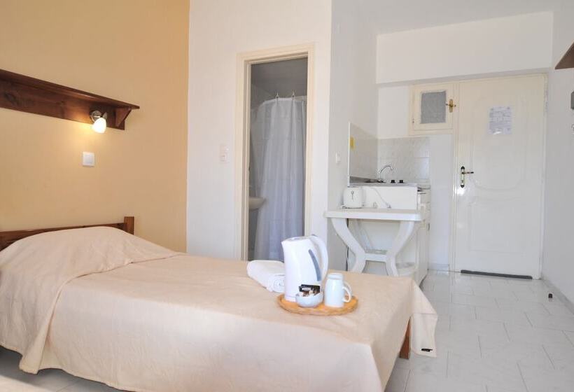 חדר סטודיו סטנדרד, Irene Studios