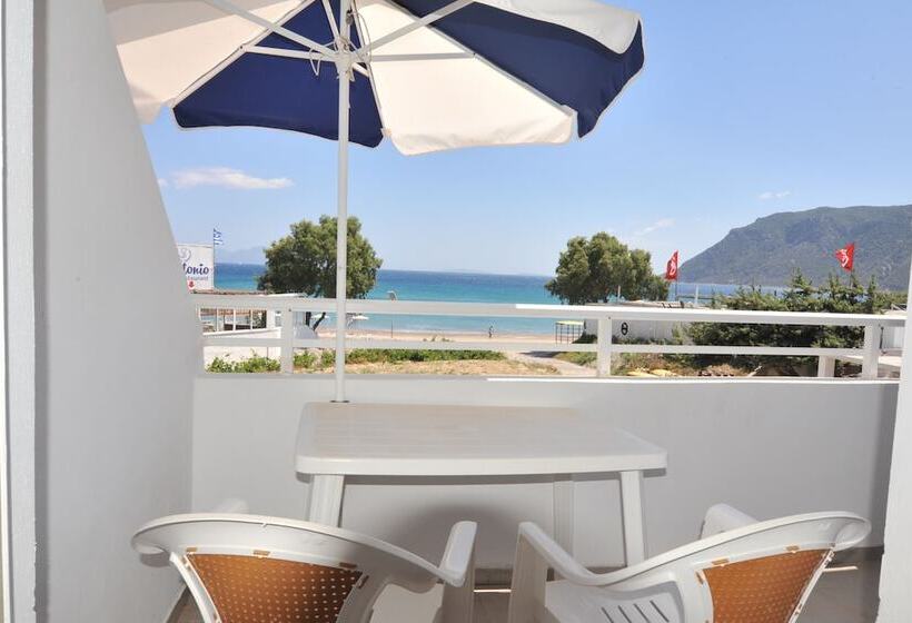 חדר סטודיו סטנדרד, Irene Studios