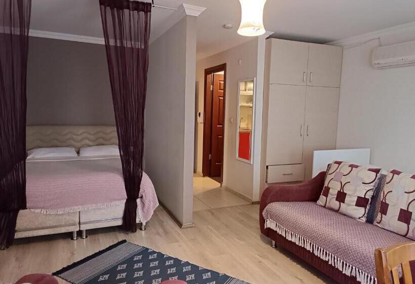 استودیوی استاندارد, The City Residence