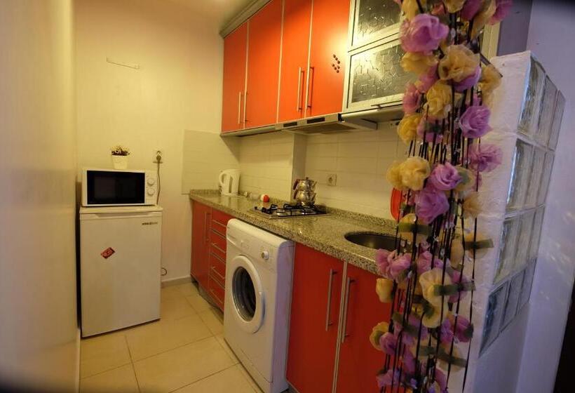 استودیوی استاندارد, The City Residence